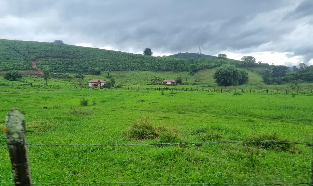 Fazenda, 90 hectares - Foto 4