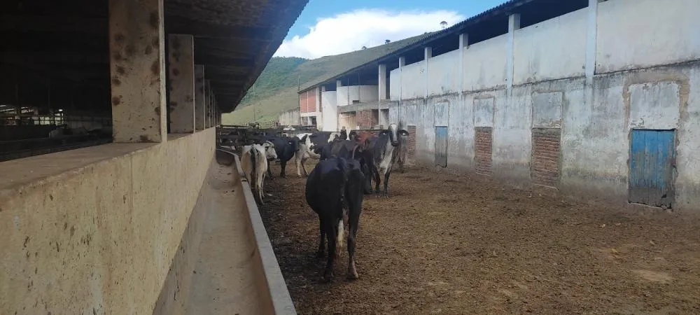 Fazenda, 450 hectares - Foto 16