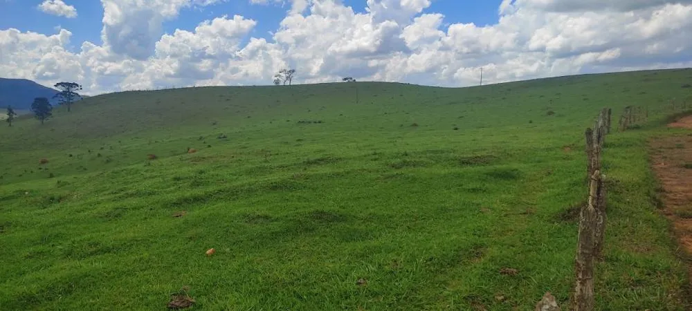 Fazenda, 450 hectares - Foto 4