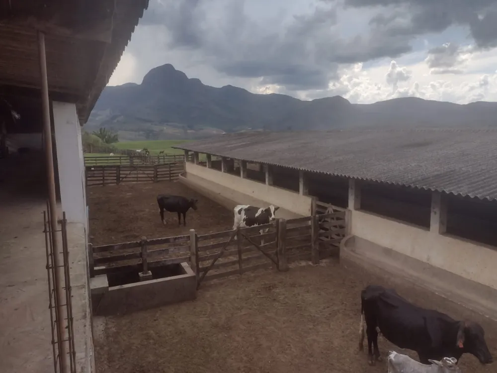 Fazenda, 450 hectares - Foto 10