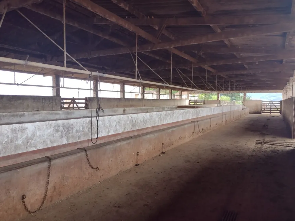 Fazenda, 450 hectares - Foto 15