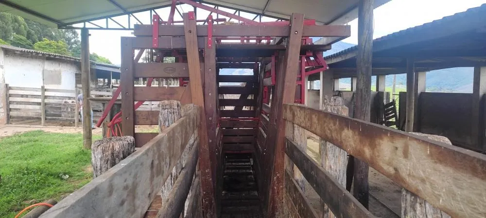 Fazenda, 450 hectares - Foto 20