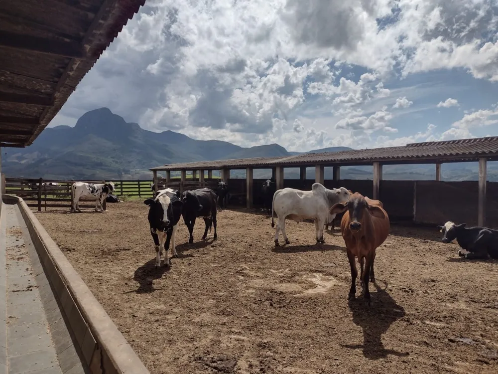 Fazenda, 450 hectares - Foto 18