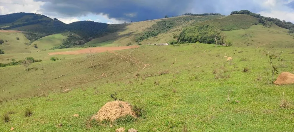 Fazenda, 450 hectares - Foto 8