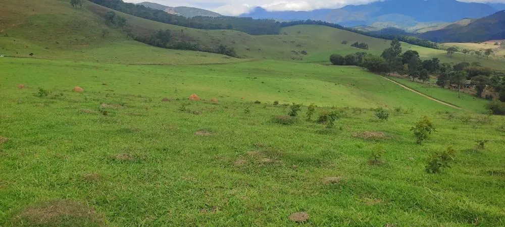 Fazenda, 450 hectares - Foto 2