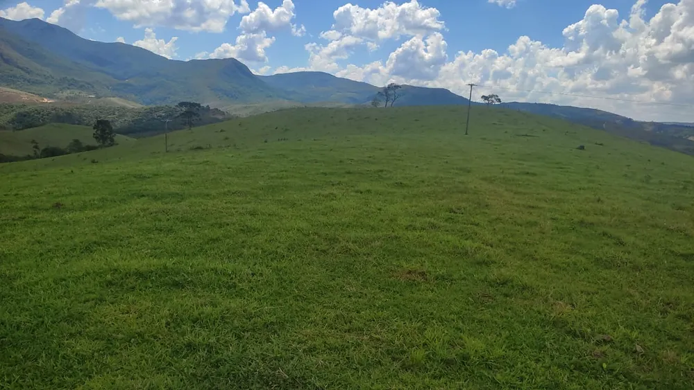 Fazenda, 450 hectares - Foto 3