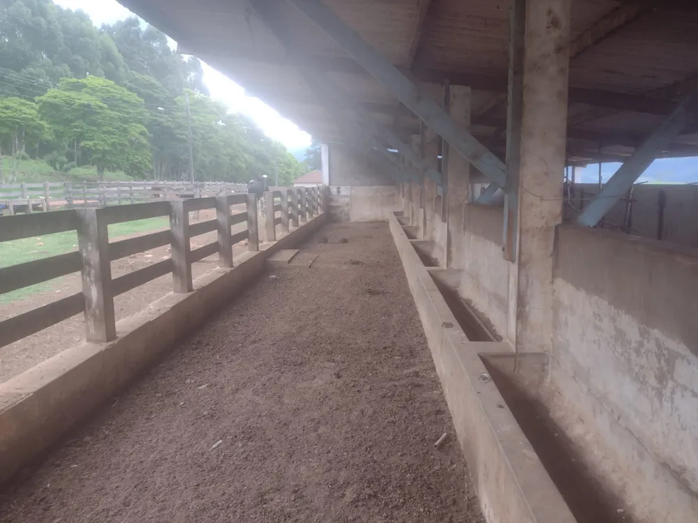 Fazenda, 450 hectares - Foto 12