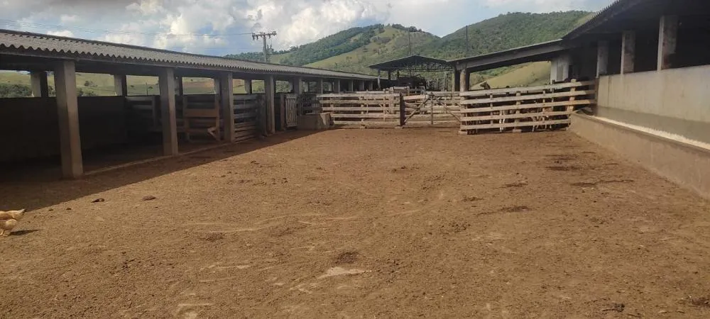 Fazenda, 450 hectares - Foto 13