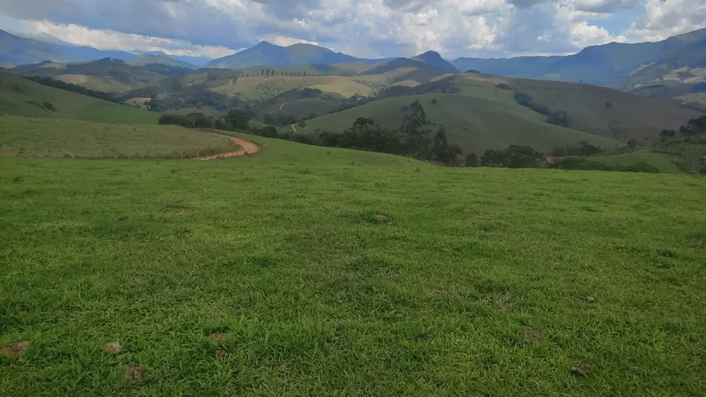 Fazenda, 450 hectares - Foto 1