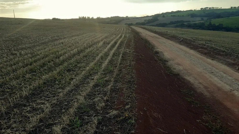 Fazenda, 77 hectares - Foto 2