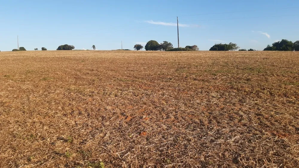 Fazenda, 77 hectares - Foto 11