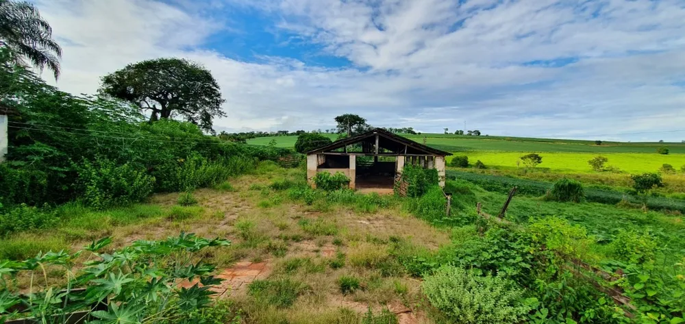 Fazenda, 77 hectares - Foto 5