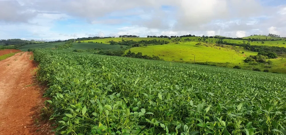 Fazenda, 77 hectares - Foto 1
