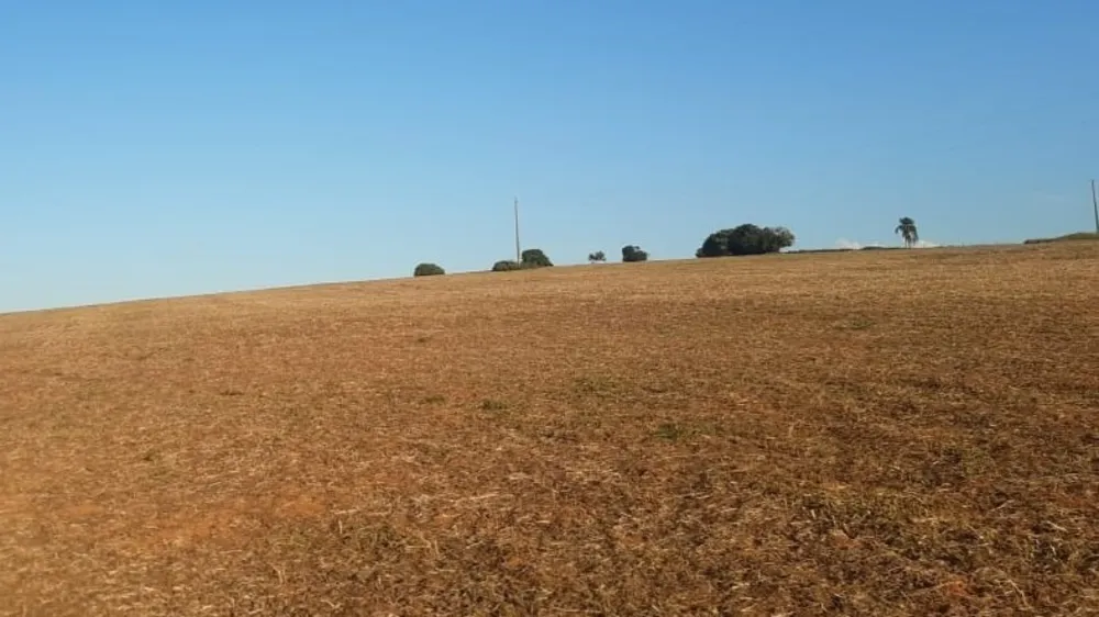 Fazenda, 77 hectares - Foto 9