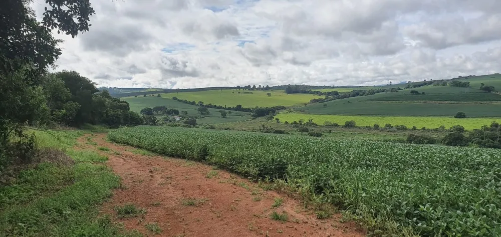 Fazenda, 77 hectares - Foto 7