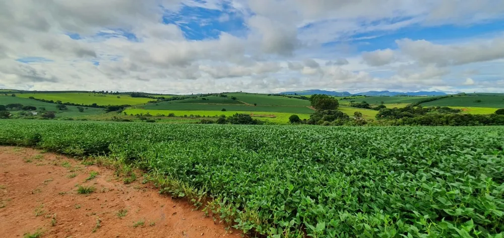 Fazenda, 77 hectares - Foto 1