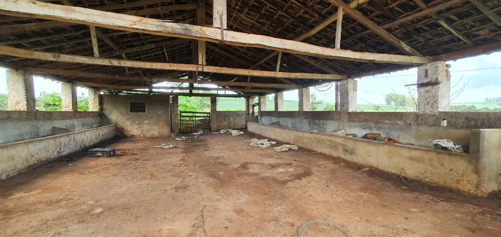 Fazenda, 77 hectares - Foto 14