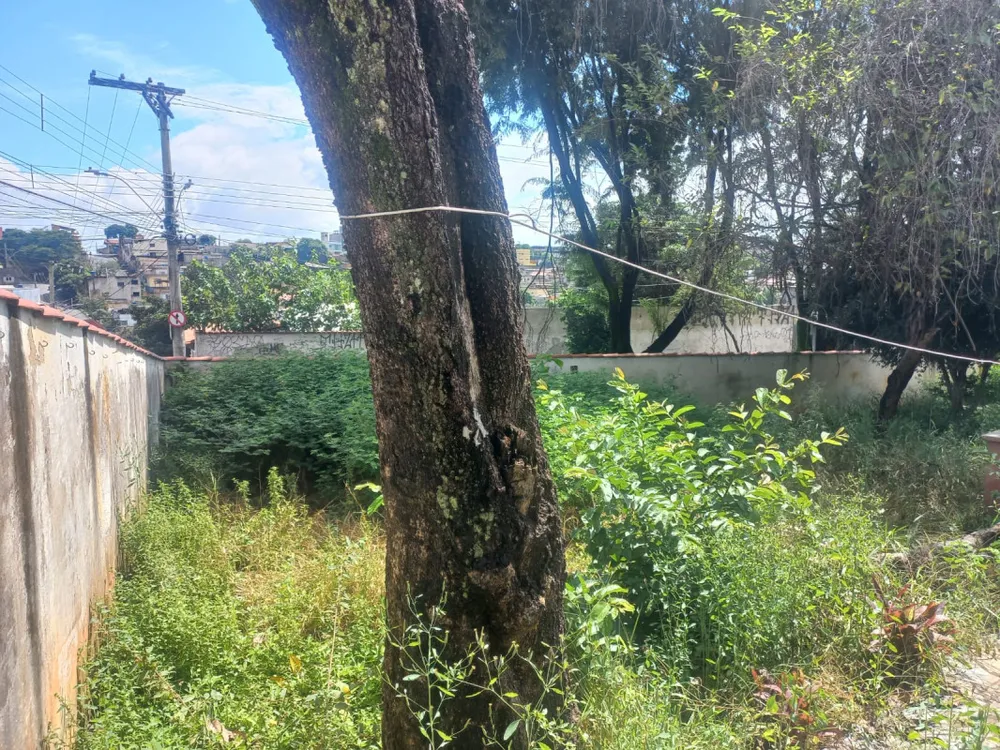 Terreno, 364 m² - Foto 7