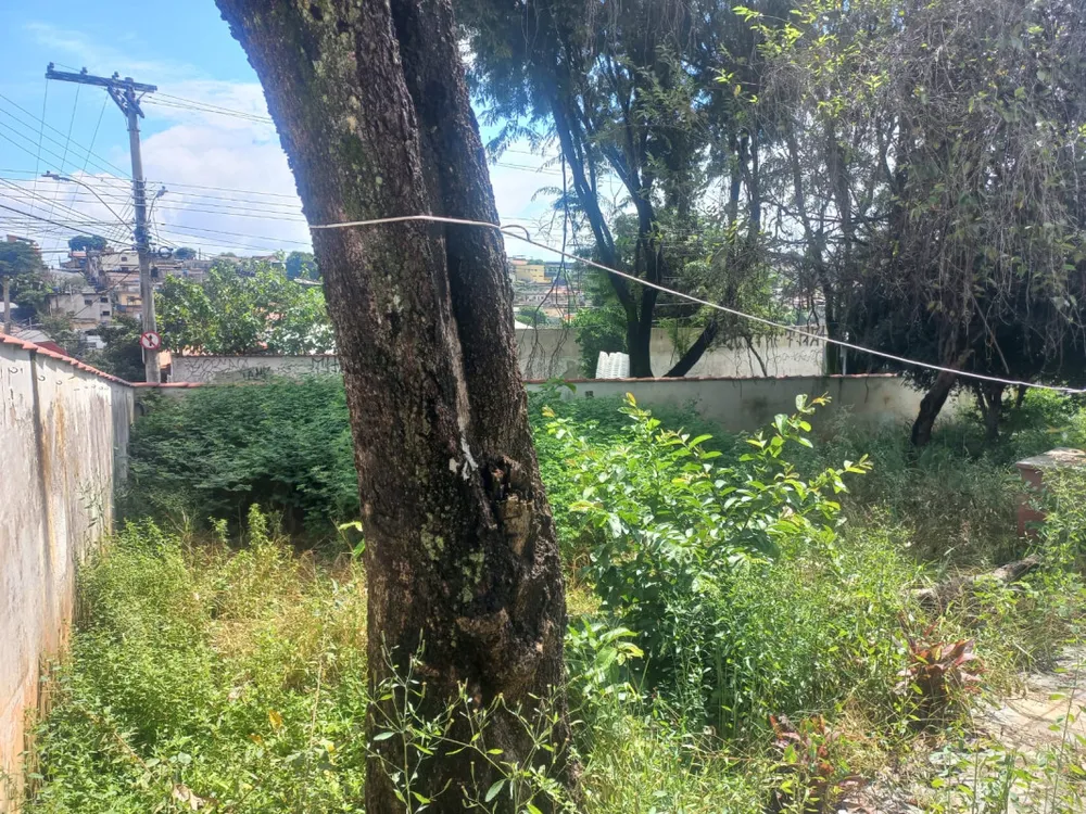 Terreno, 364 m² - Foto 5