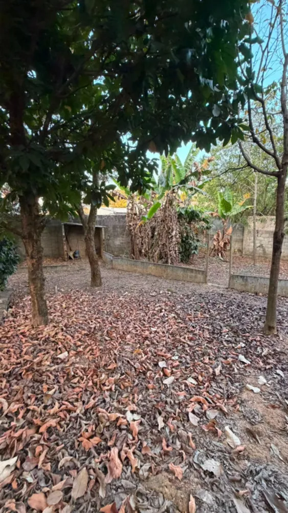 Sítio, 4 quartos, 1785 m² - Foto 6