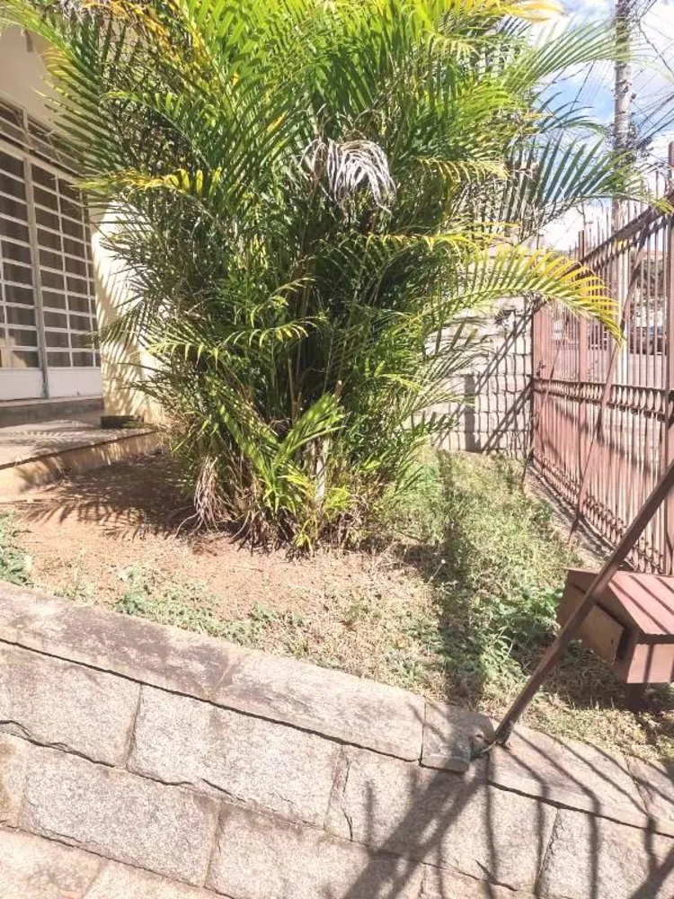 Casa, 3 quartos, 300 m² - Foto 16
