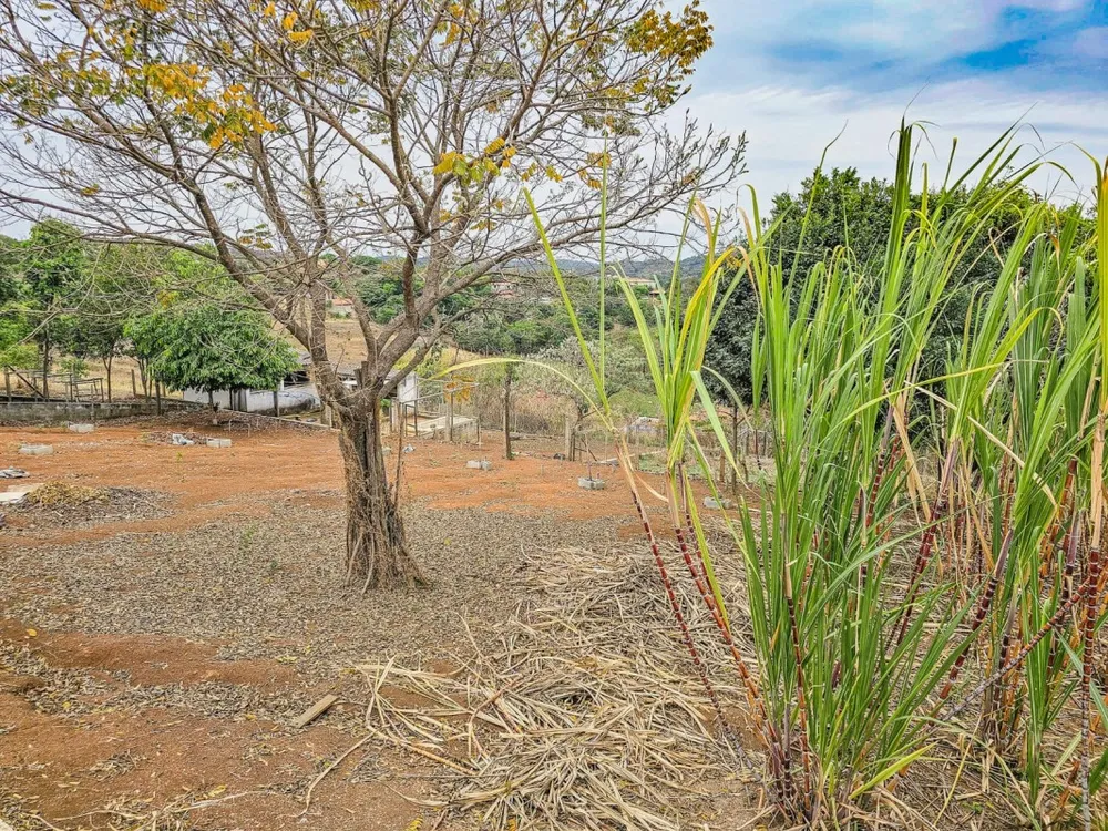 Chácara, 4 quartos, 6000 m² - Foto 5