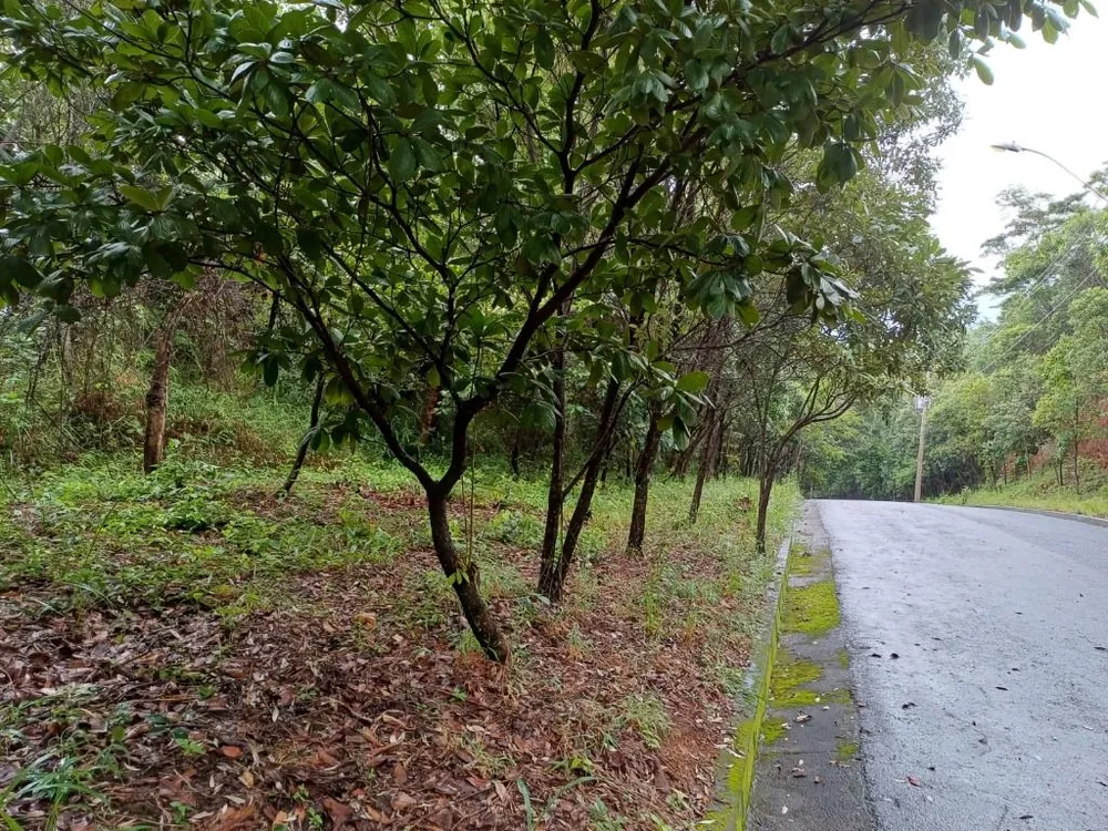 Terreno, 980 m² - Foto 5