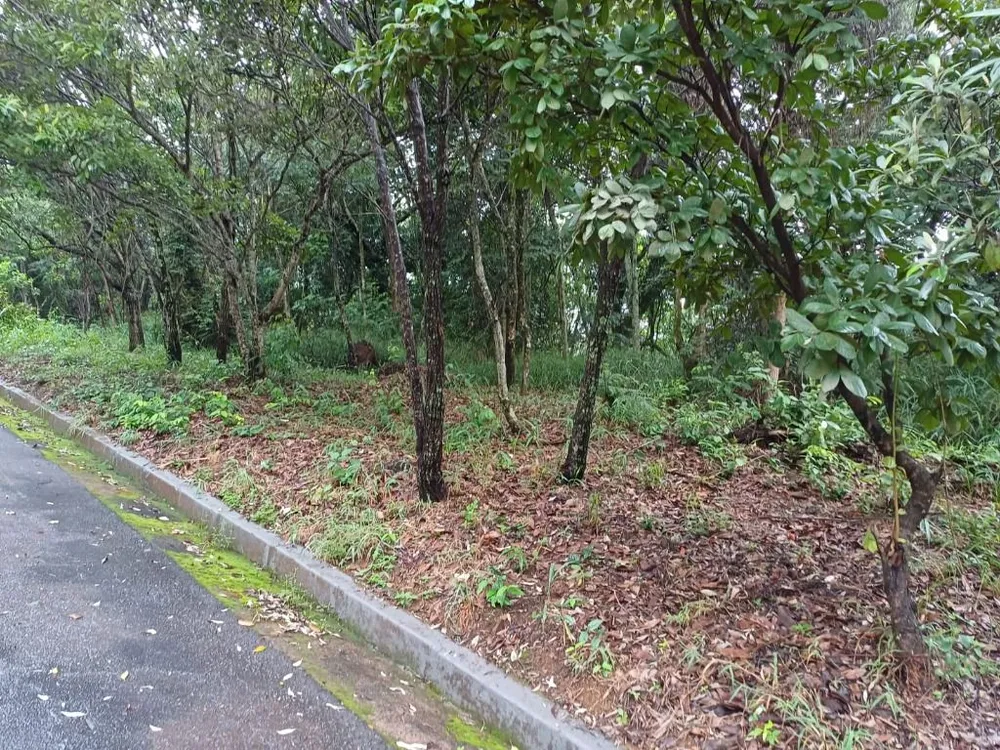 Terreno, 980 m² - Foto 3