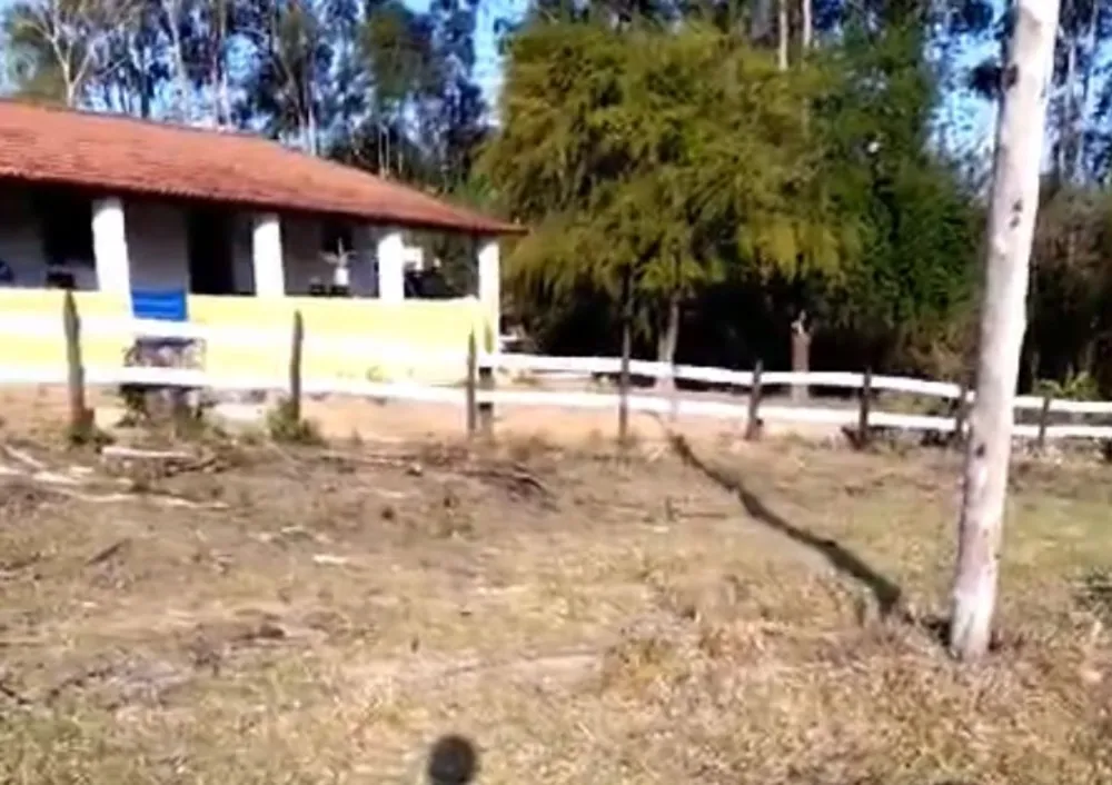 Fazenda, 47 m² - Foto 15