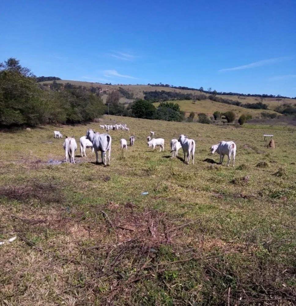 Fazenda, 47 m² - Foto 1