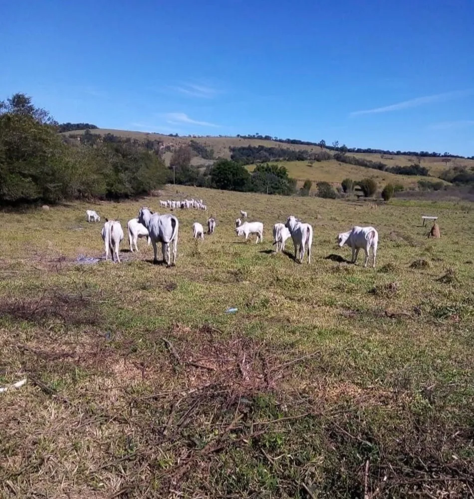 Fazenda, 47 m² - Foto 2