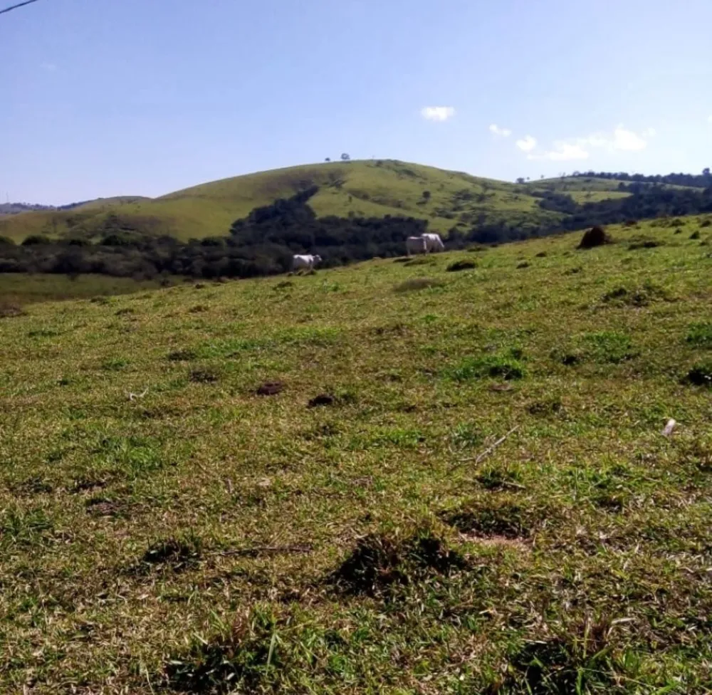 Fazenda, 47 m² - Foto 6
