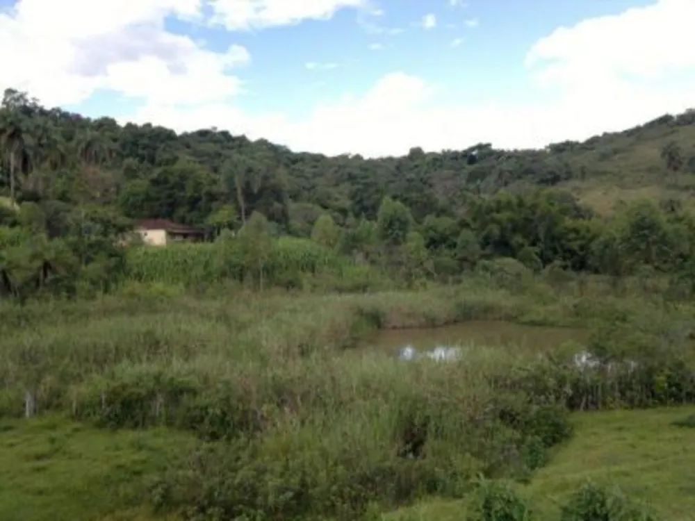Fazenda, 3 quartos - Foto 5