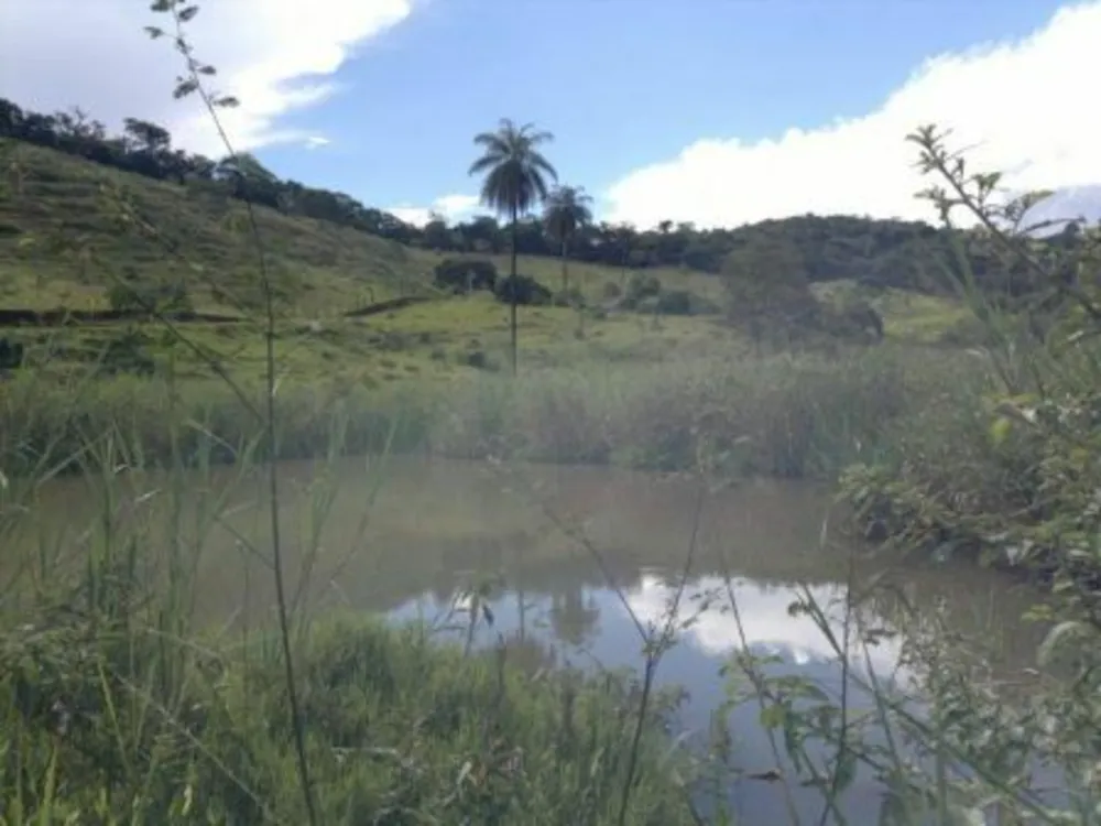 Fazenda, 3 quartos - Foto 10