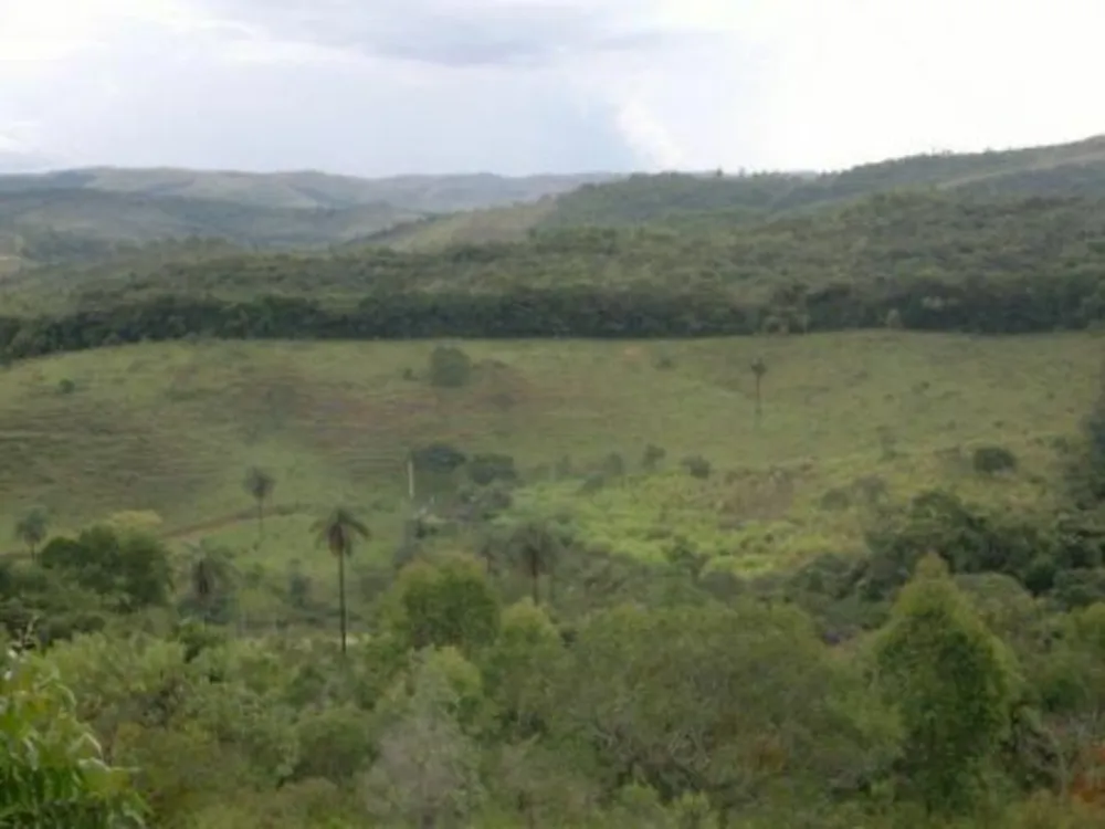 Fazenda, 3 quartos - Foto 1
