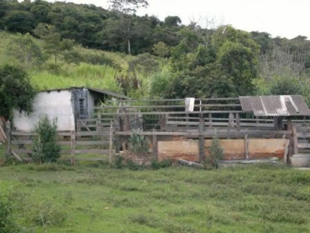 Fazenda, 3 quartos - Foto 6