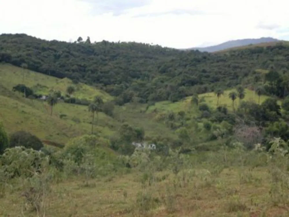 Fazenda, 3 quartos - Foto 2