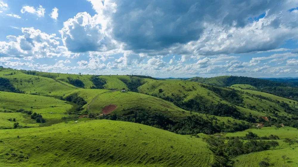 Fazenda, 220 hectares - Foto 3