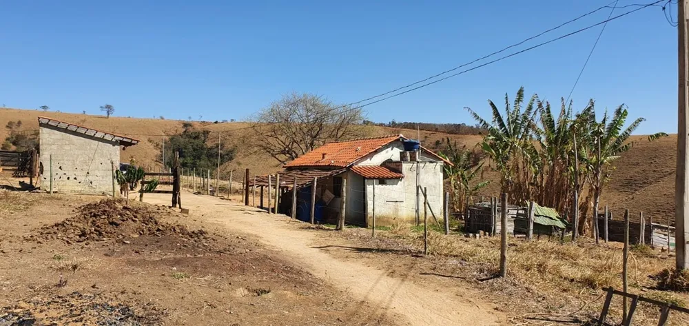 Fazenda, 220 hectares - Foto 1