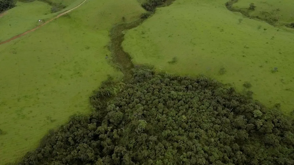 Fazenda, 220 hectares - Foto 2