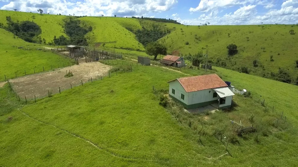 Fazenda, 220 hectares - Foto 4