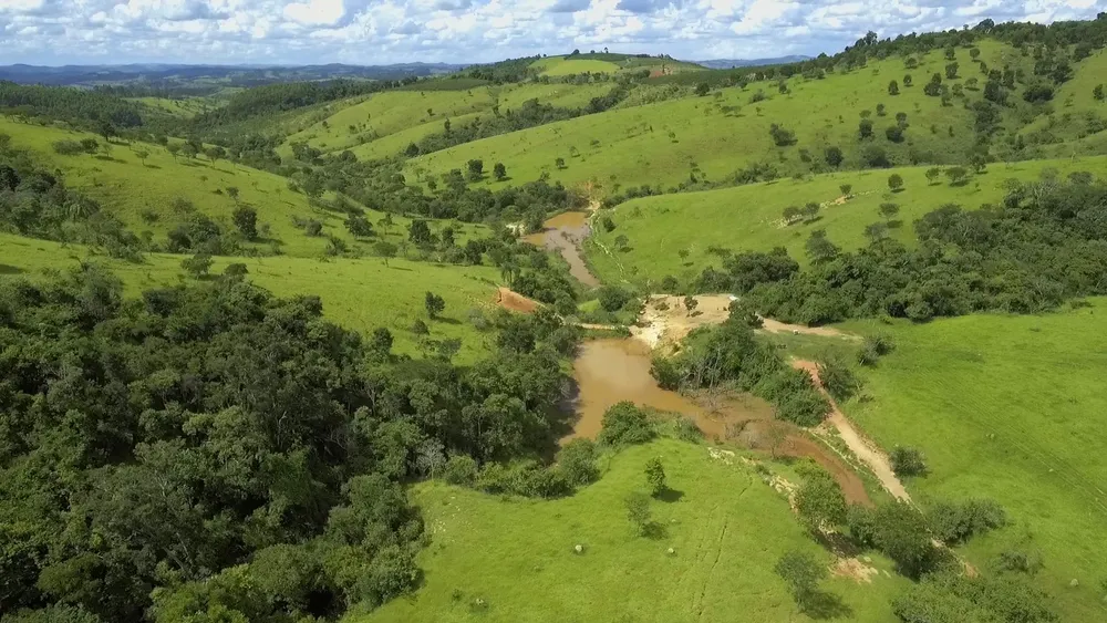 Fazenda, 220 hectares - Foto 2