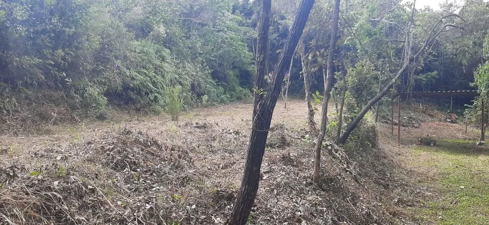 Chácara, 1 quarto - Foto 15