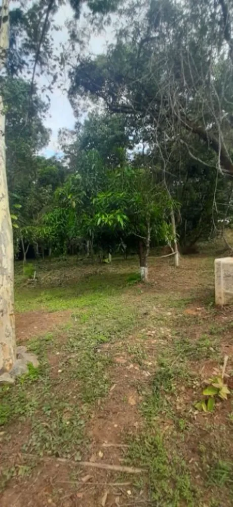Chácara, 1 quarto - Foto 6