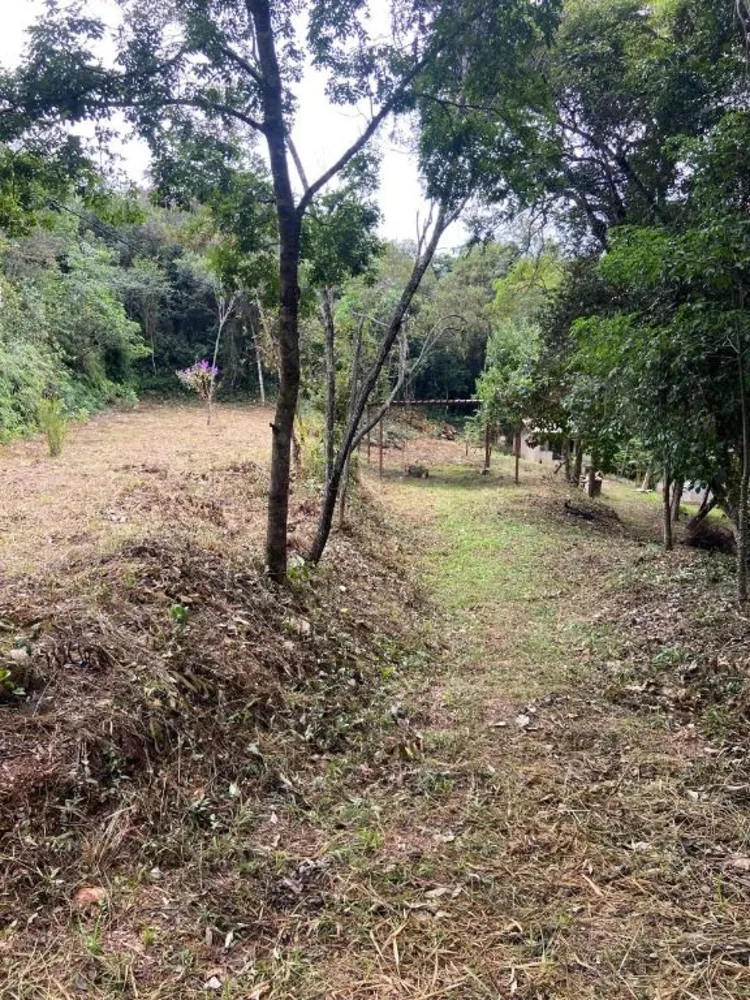 Chácara, 1 quarto - Foto 6