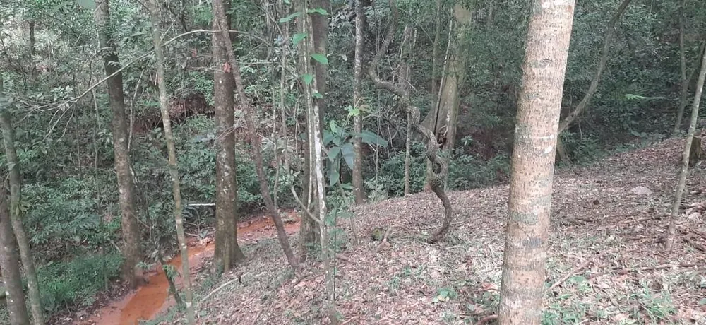 Chácara, 1 quarto - Foto 5