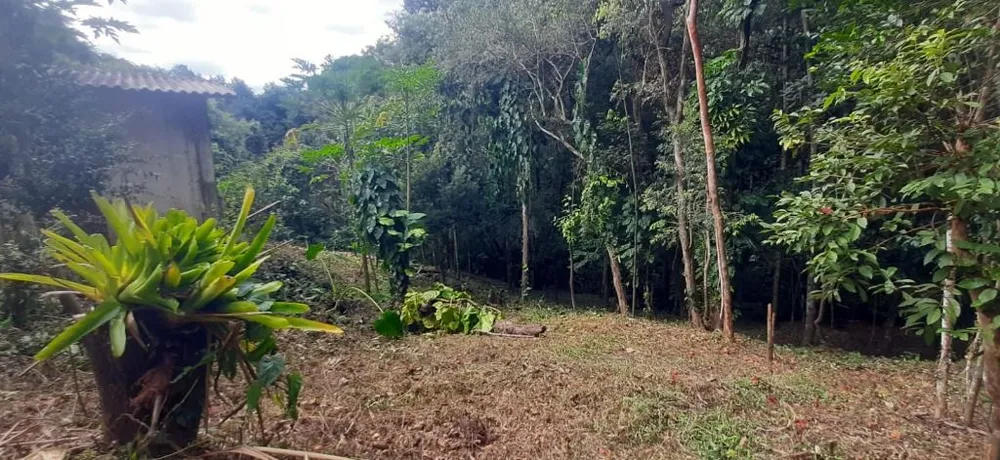 Chácara, 1 quarto - Foto 7
