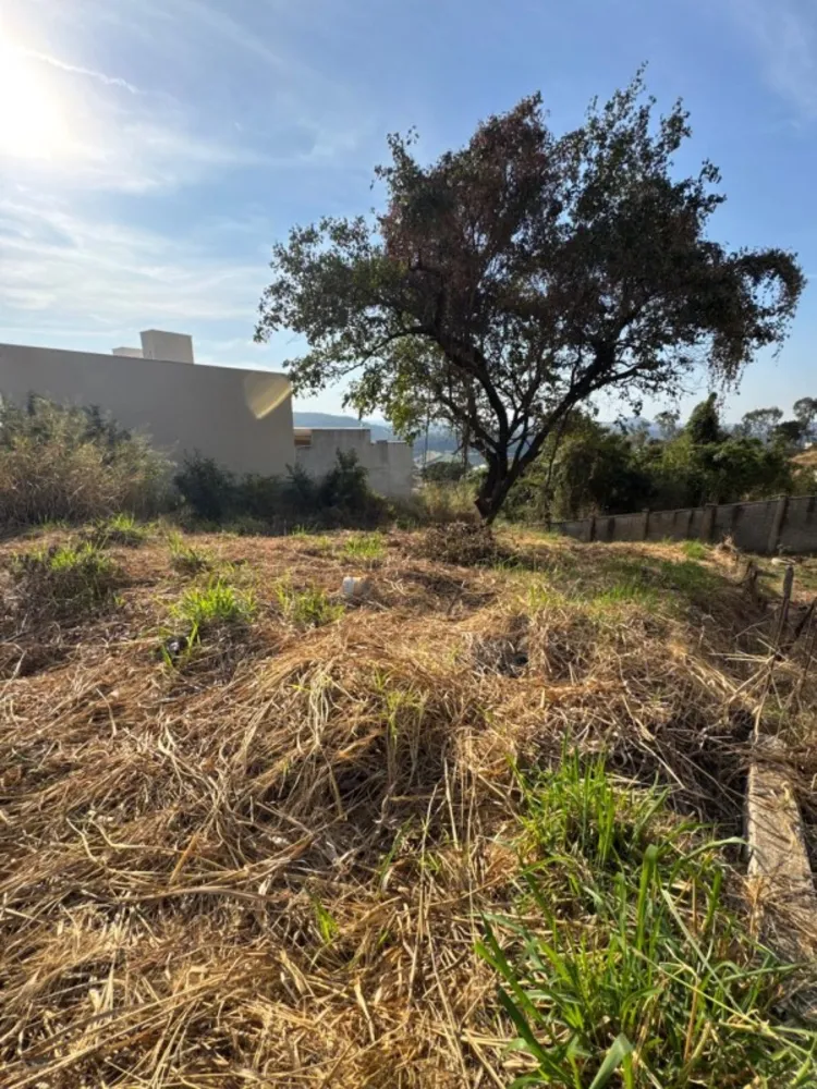 Terreno, 360 m² - Foto 6