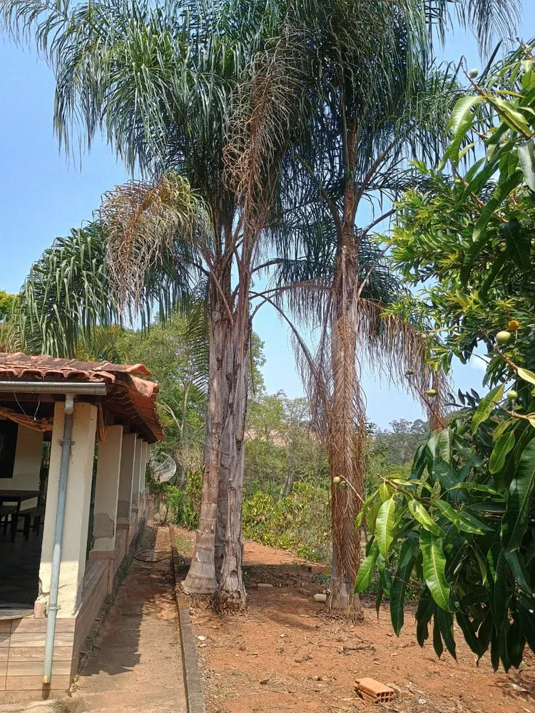Fazenda, 42 hectares - Foto 8