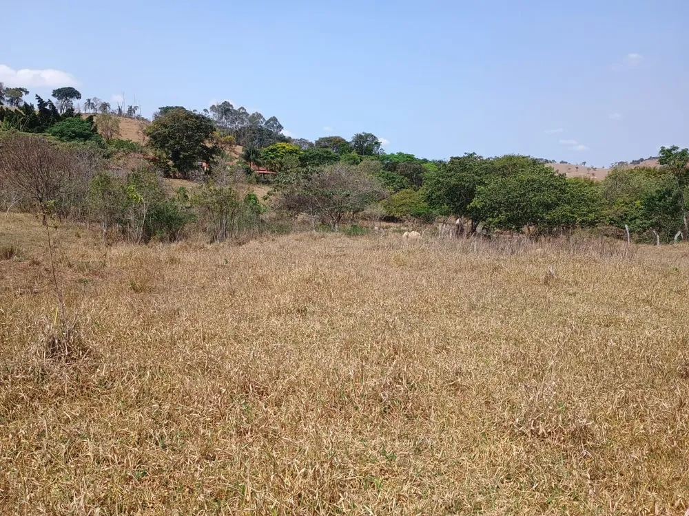 Fazenda, 42 hectares - Foto 3